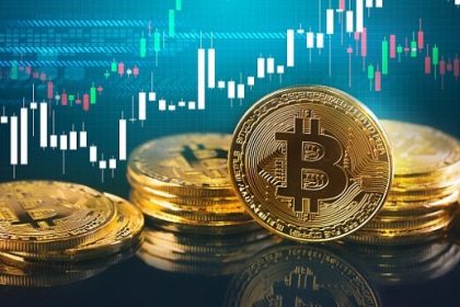 Bitcoin PIC